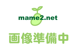 sun.�������E�N���A2�i�ʐ^�҂��j